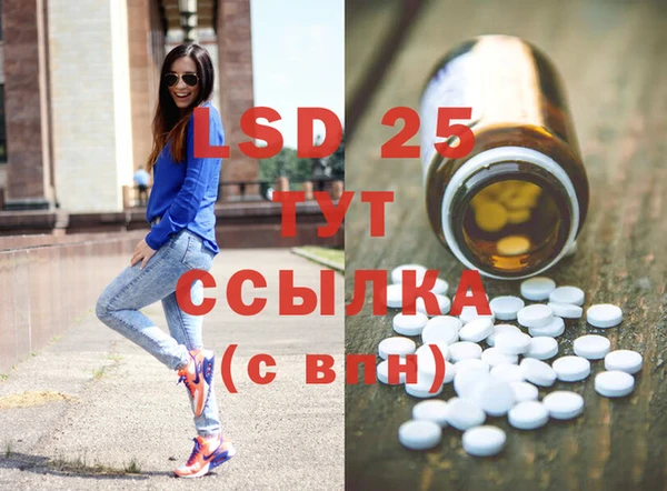 амф Липки