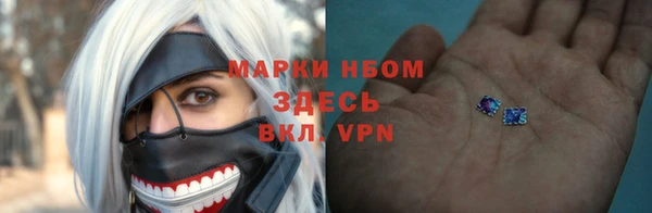 амф Липки