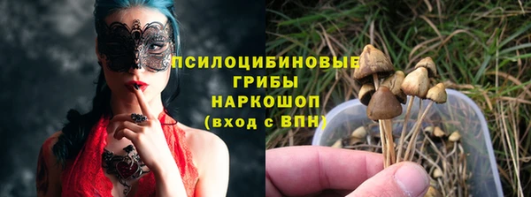 амф Липки