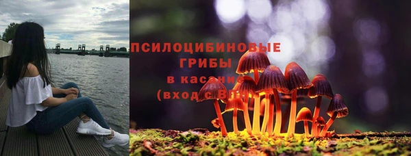 амф Липки